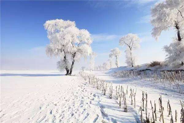 这个冬天去北方看雪,最美的雪景都在这些地方!