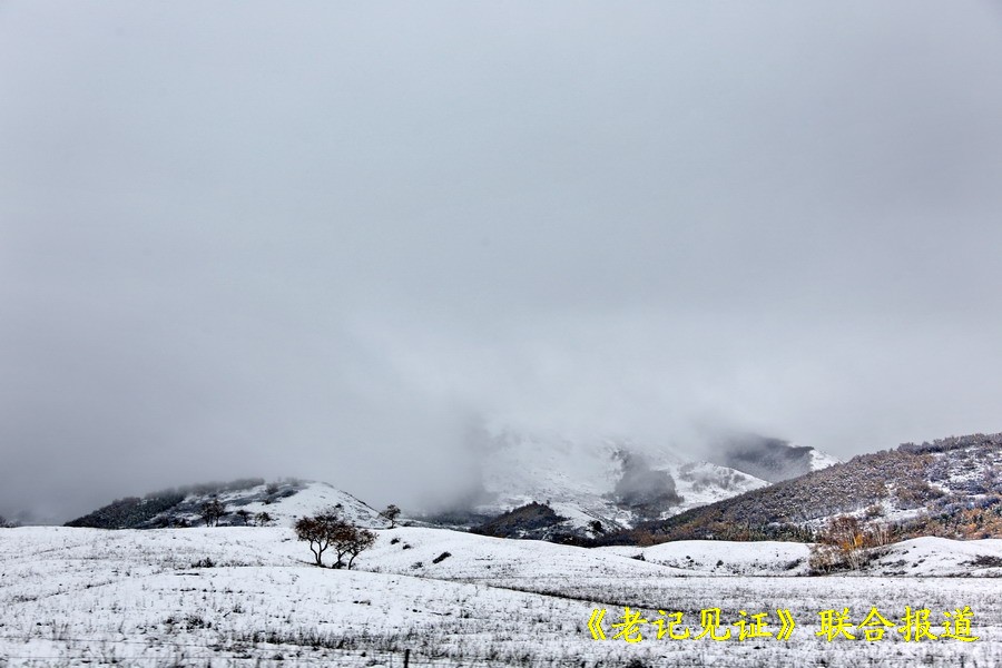 记者国庆亲历草原暴风雪(三)