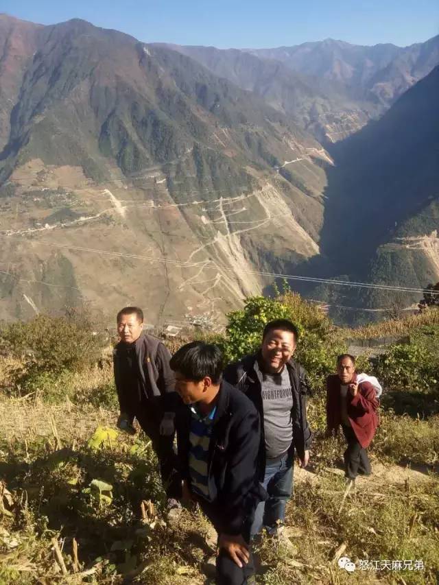 健康 正文 念坪村的住房 念坪村和阿尼大底都是大山深处的村庄,念坪的