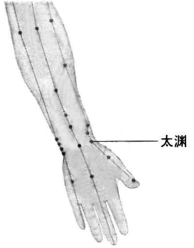 12 太渊穴商丘穴=参苓白术丸.