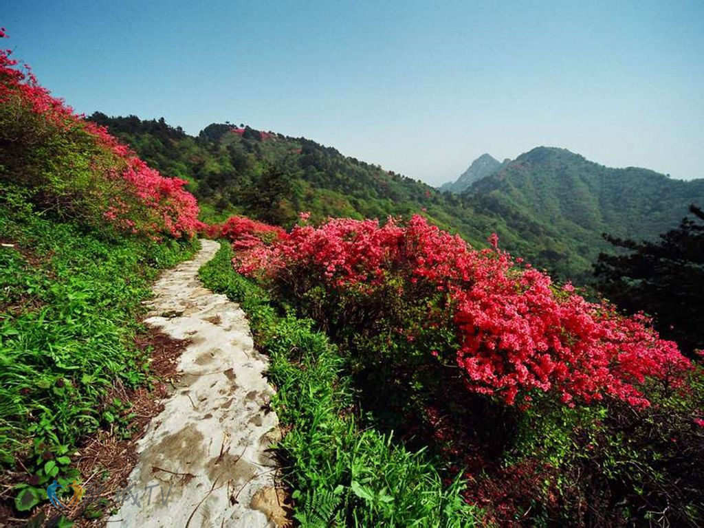 黄冈市麻城十大旅游景点航拍麻城风景