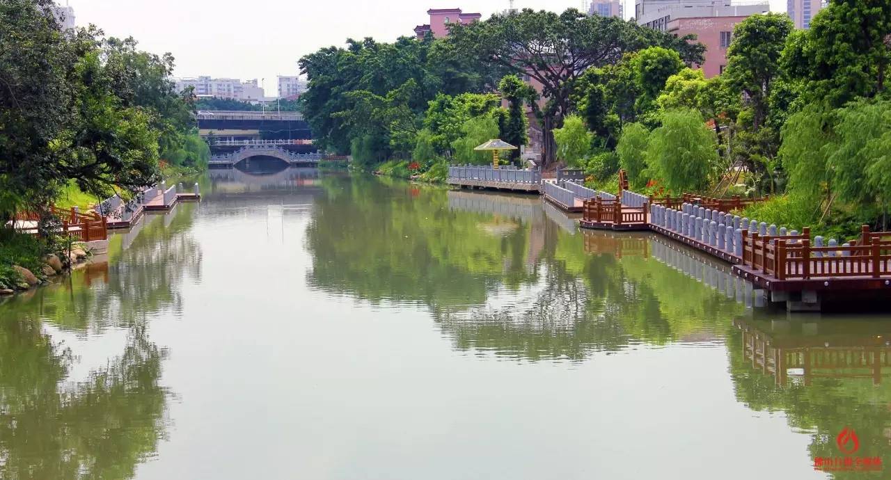 "佛山十大最美河湖"出炉!水生态建设获点赞