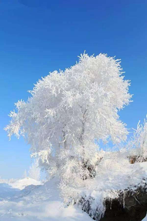 这个冬天去北方看雪,最美的雪景都在这些地方!