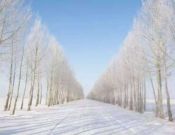 这个冬天去北方看雪,最美的雪景都在这些地方!