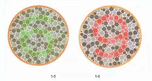 重度色盲人口_色盲测试图(3)