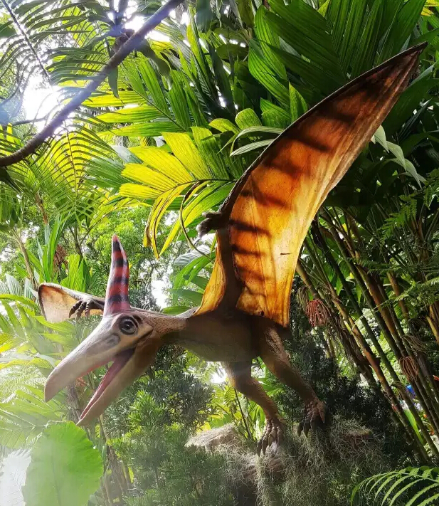 pterosaurus 翼龙