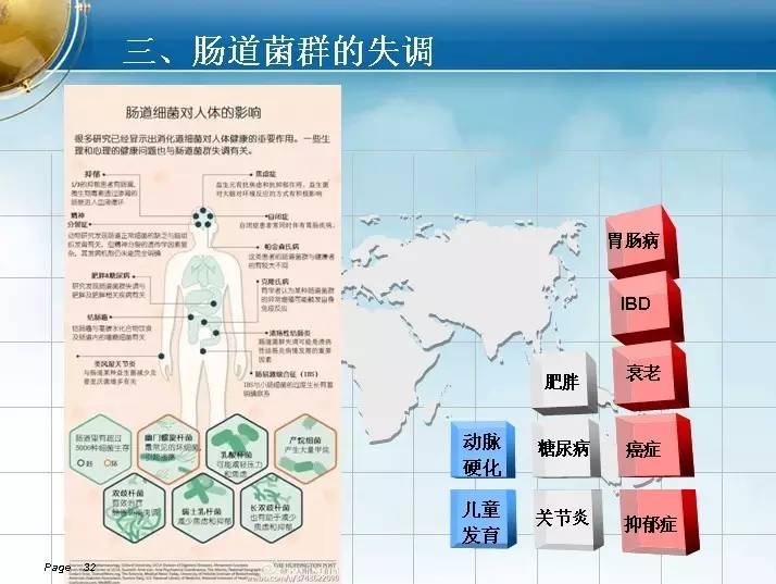 医学科普|迎接肠道微生物检测与人体健康管理的黄金