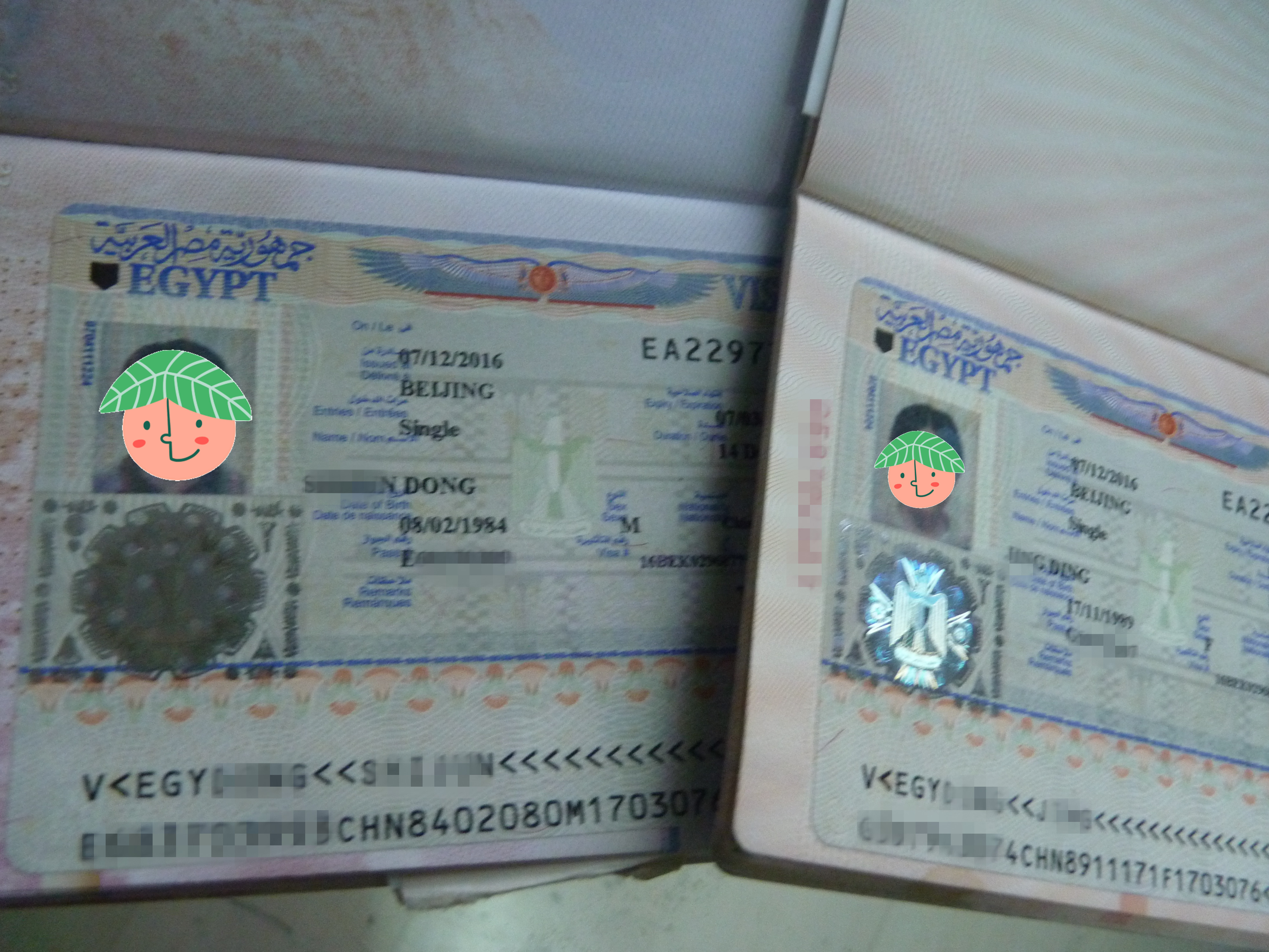 埃及旅游签证、埃及落地签证申请须知-搜狐