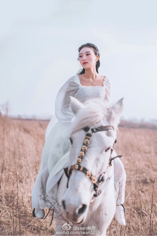郑州黄河滩冬日暖情,有一个骑着白马的美丽姑娘
