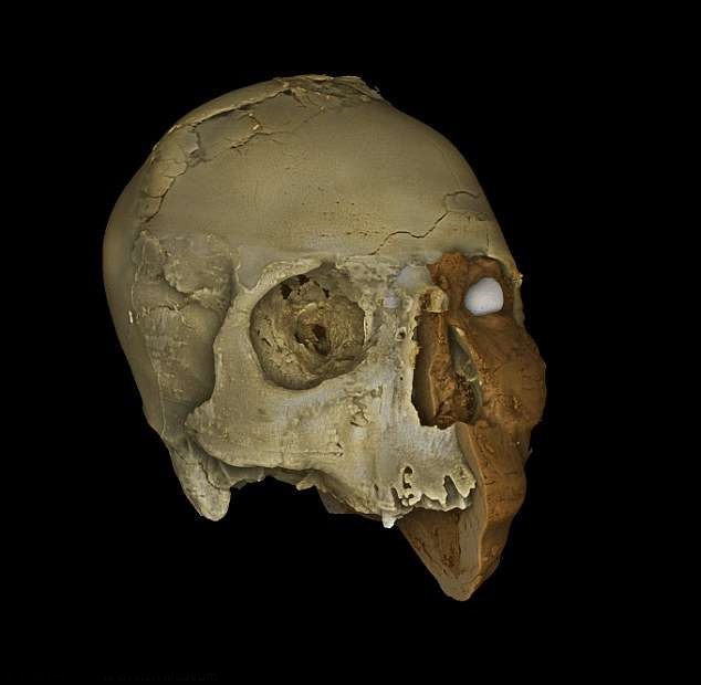 科学家发现9500年前神秘畸形头骨 还原了他的样子