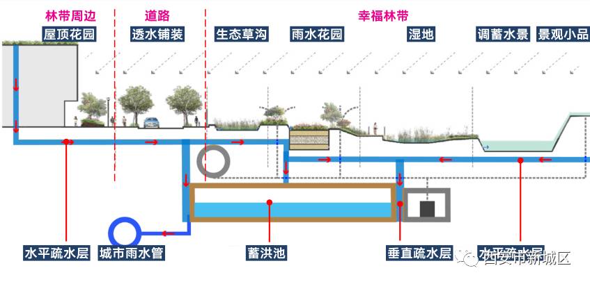 幸福林带项目的建设中也采用了先进的"海绵城市"结构