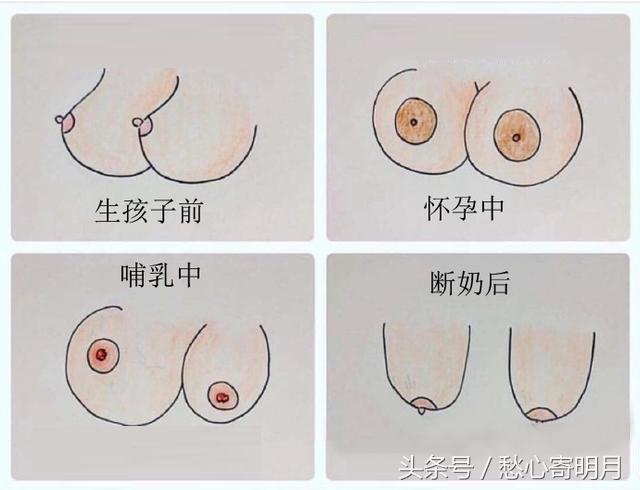 宝妈生完小孩后,肯定会遇到哺乳的问题,那么哺乳期过后,乳房的变化