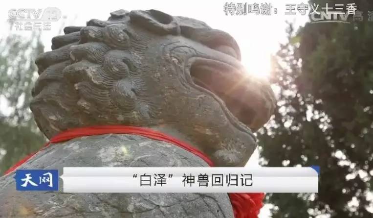 央视播出户县"白泽"神兽回归记(视频)