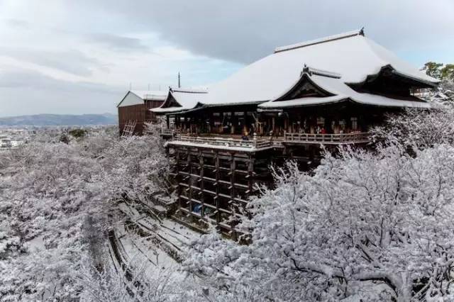 日本人冬天旅游必去的地方,就算冻死我也要去