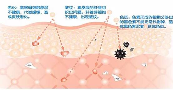 除斑霜的原理_冲霜水系统原理图