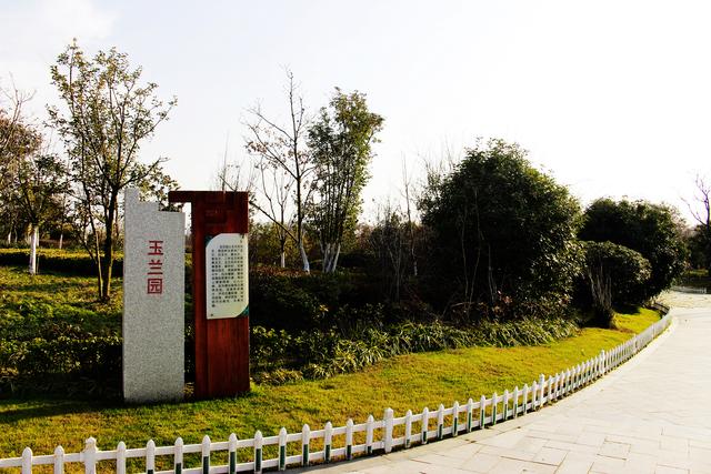 彭城视窗 看天下之:初冬的徐州植物园