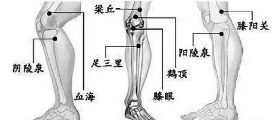 最新膝盖使用说明书,不收藏太亏啦