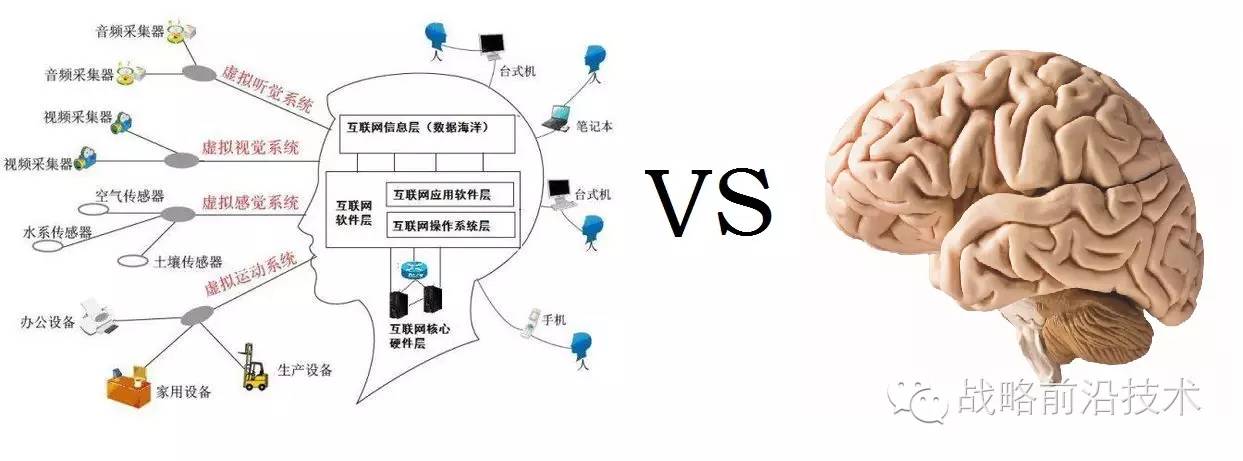 结合脑还原论的细节研究(如分子神经生物学,细胞神经生物学,系统神经