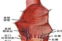 苏州康立医院肛肠专科:肛门瘙痒的保健方法