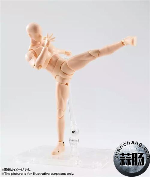 h.figuarts 男性素体dx set