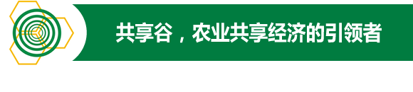 共享谷分析一根稻草赡养了一个公司的奇迹！