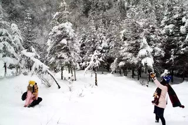 京昆高速——绵广高速——京昆高速——广棋高速——曾家山滑雪场