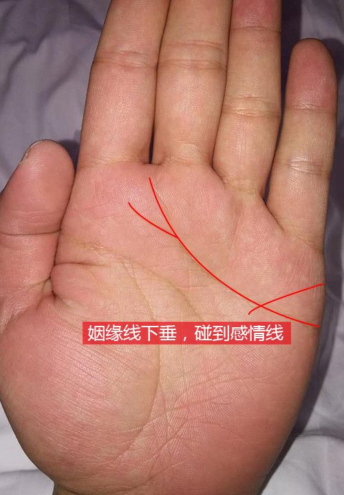 姻缘线短小多婚姻线很短很淡是不是代表晚婚甚至不会结婚啊或者婚姻道