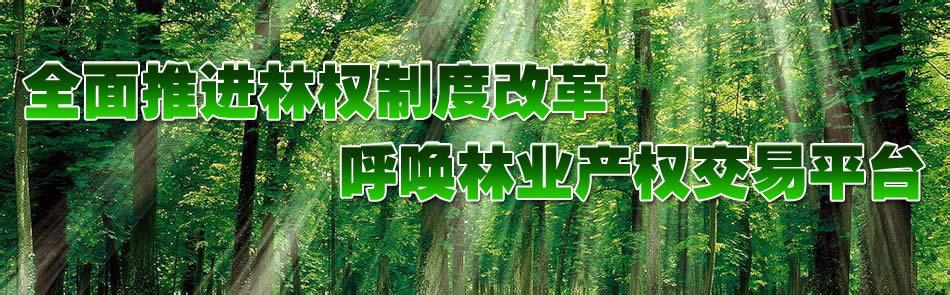 国务院办公厅关于完善集体林权制度的意见