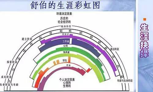 教师职业生涯周期理论对高校青年教师专业发展的指导研究