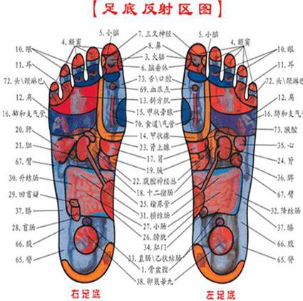 光脚养生,刺激经络.简单有效的不老术!做!