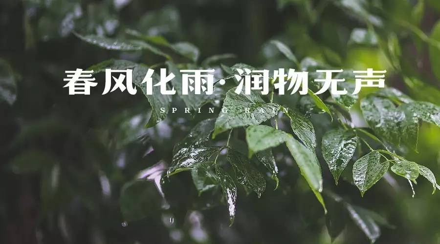 春风化雨 润物无声