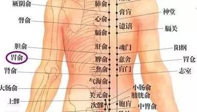 十二胸椎位置图