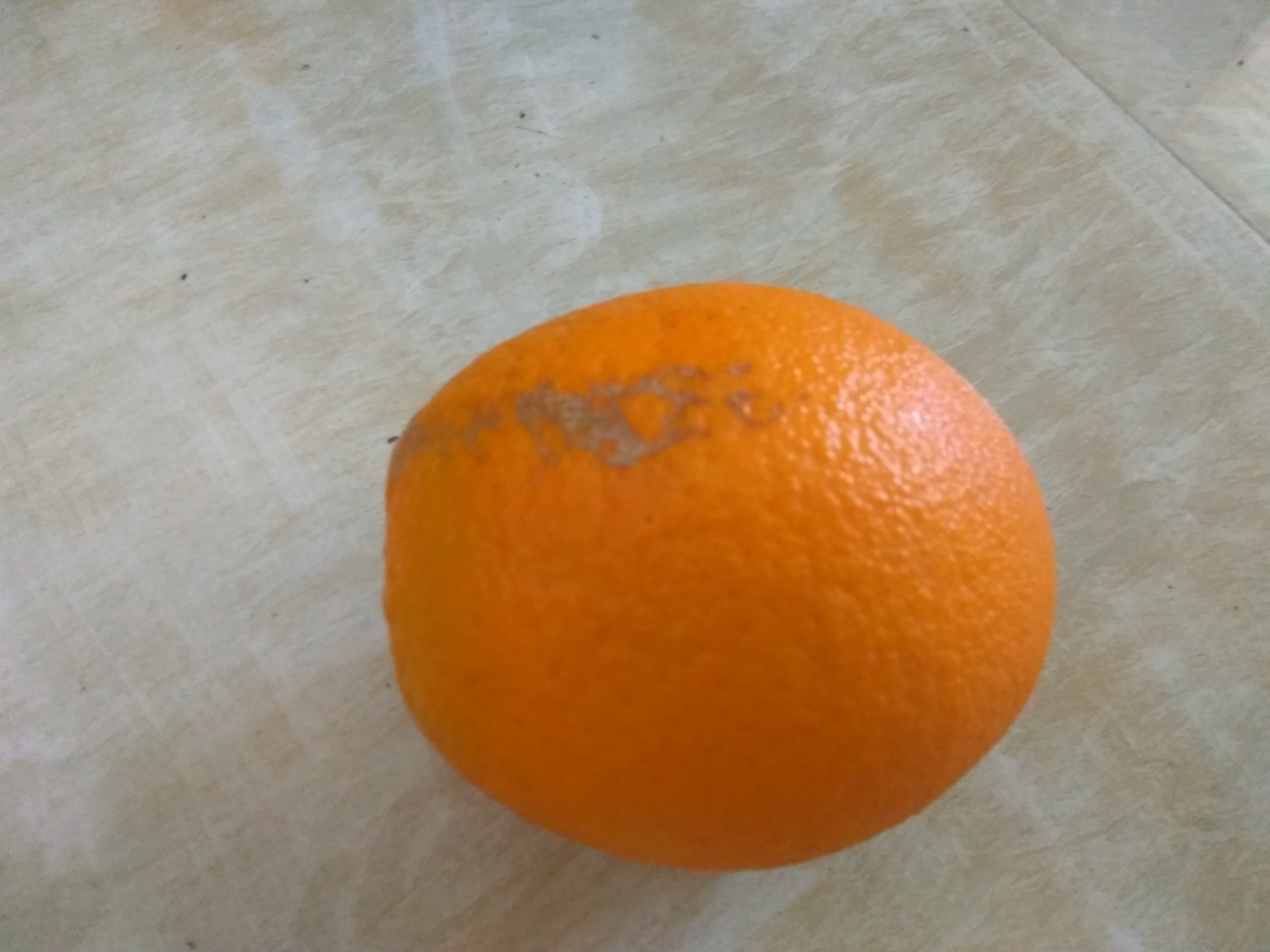 又是橙子上市时,你知道哪种橙子最最好吃吗?