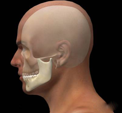 下颌骨就是下图所示的白色骨骼部分;   移除   小于120度,约等于90度