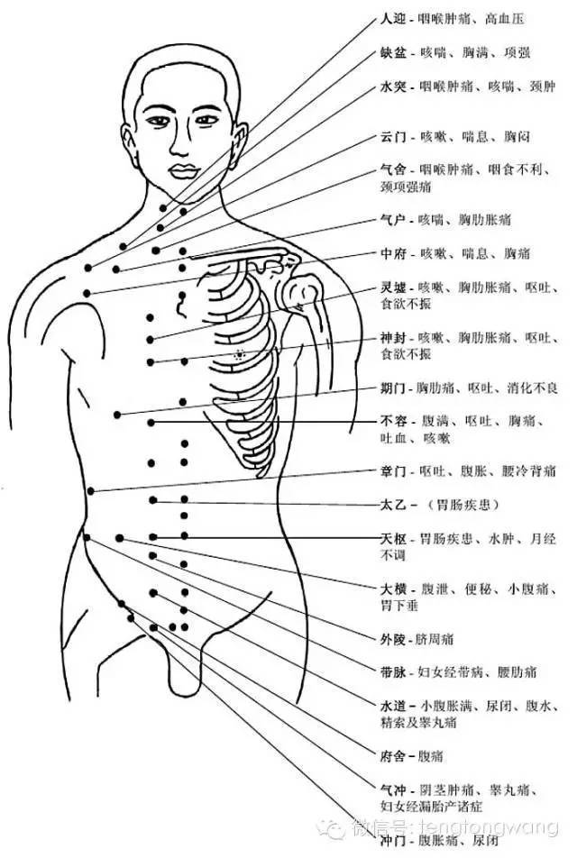 症,虚脱,体质虚弱 中极穴:治疗泌尿,生殖系统诸症,下腹痛,水肿 曲骨穴