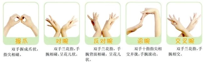 律动篇:手指韵律操活动的基本手型(老师必看)