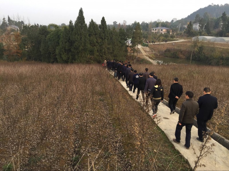 14:20,参会代表走进平昌县岩口乡方山村,观摩茶叶产业发展及贫困户