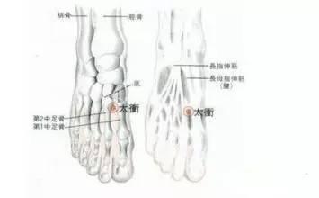 降压真经——腧穴按摩分册