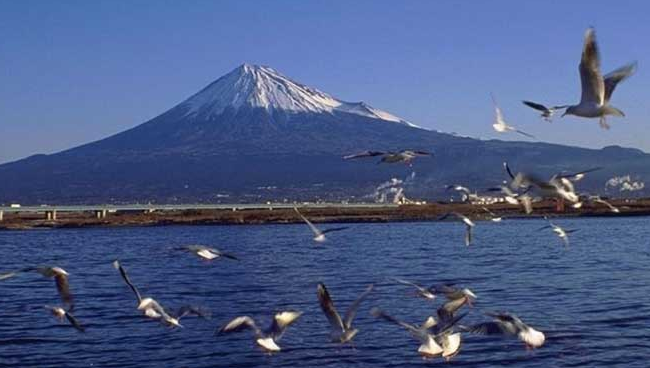 日本留学:本科申请的条件