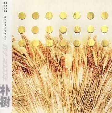 1999年1月,朴树推出首张个人专辑《我去2000年》