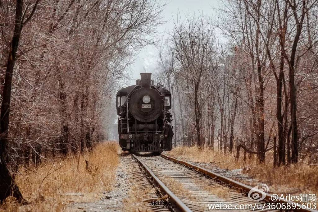 天津丨华北地区最后的蒸汽机车-上游1007