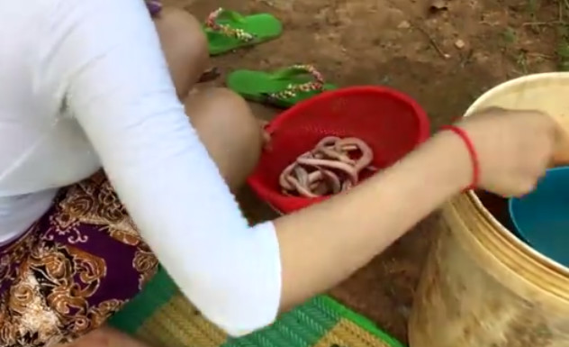 柬埔寨妹子野外煮水蛇汤,喜欢喝蛇汤的可以找
