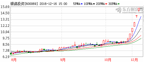 银鸽投资(600069)