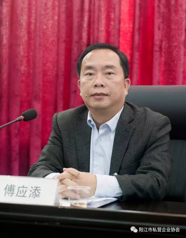 阳江个体私营企业党委第一次党员代表大会胜利