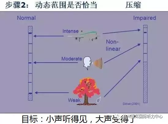 音量人口_音量分级手抄报图片