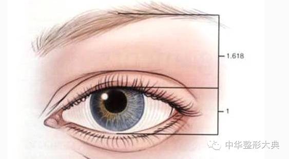 双眼皮丨术前美学设计--很关键哦!