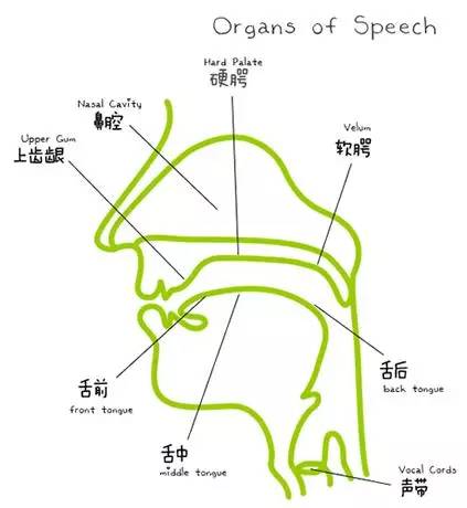 笛子的发声原理图示_笛子的构造及发声方法