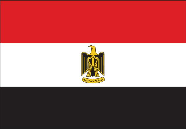 12月埃及提高320种进口商品关税税率