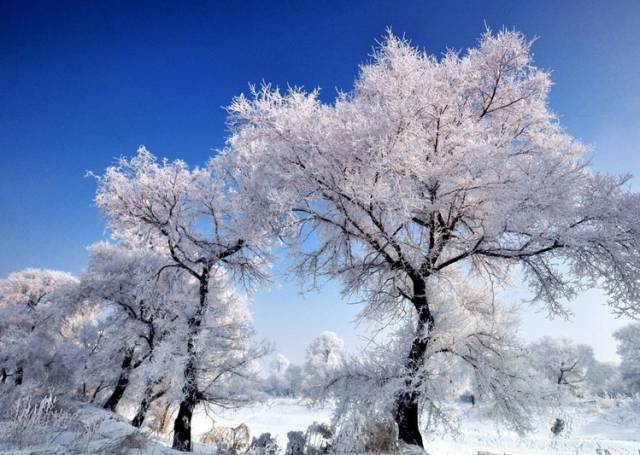 雪都这么大了,你怎么还不来赤峰看我