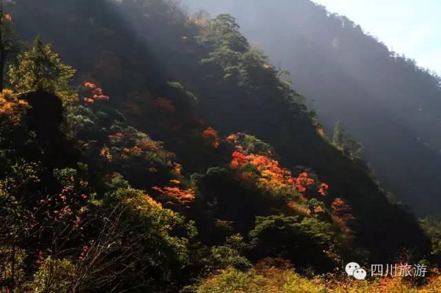 宝兴县有多少人口_特派记者前方发来宝兴地震灾区组图(3)